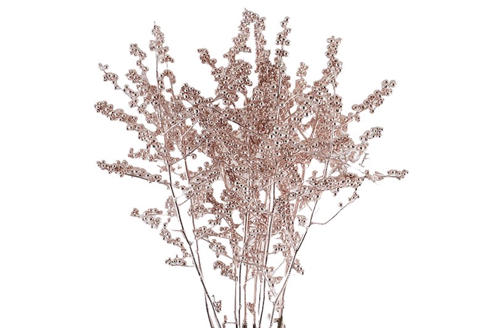 <h4>Ilex Klb Rose Gold</h4>