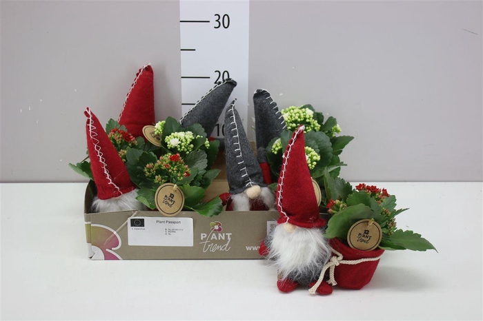 <h4>Arr 0997 Gnoom Met Pot</h4>