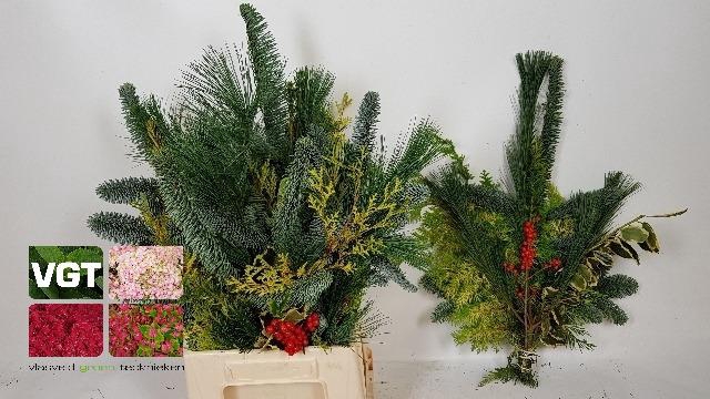 KERSTGROEN OV BS