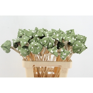 Stick Mushroom Lotus Green