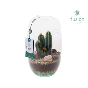 Green Bottle Isabella Medium met Cactussen