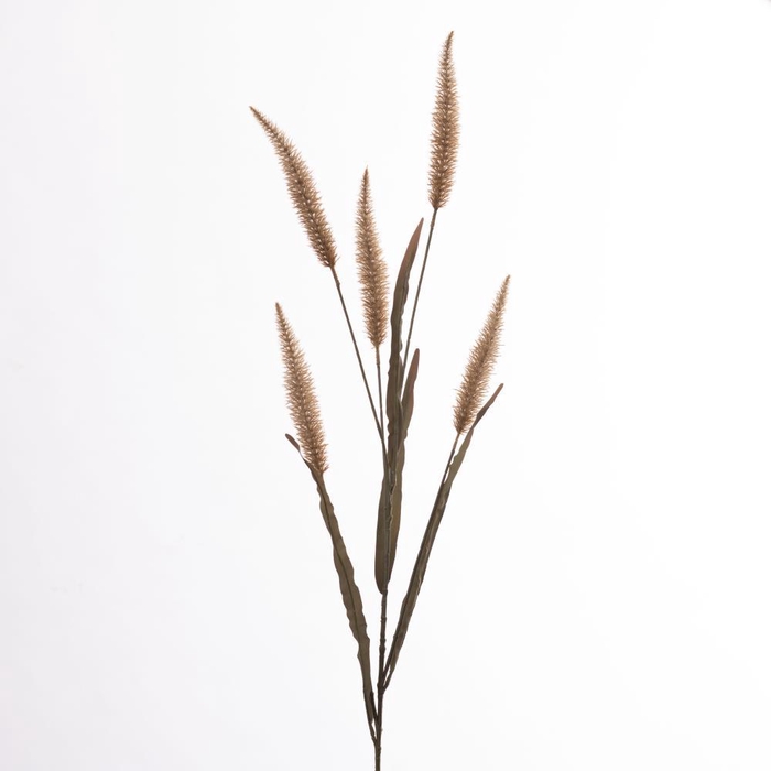 <h4>AF Pennisetum x4 L133cm Beige</h4>