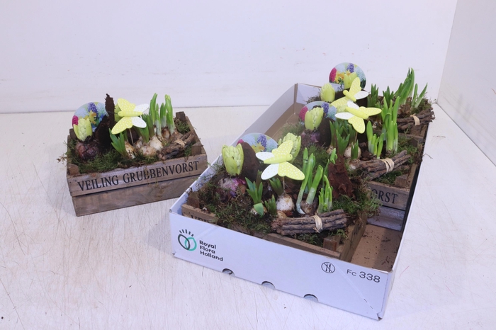 <h4>ARR BOL KNOLGEWAS</h4>