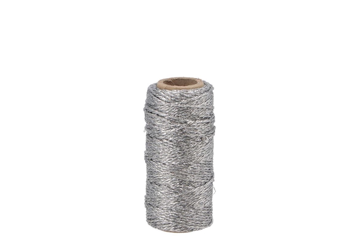 Ribbon Flashy Cord 01 Silver 25mx1,5mm Nm