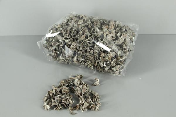 Curly Pod Frosted (500g)
