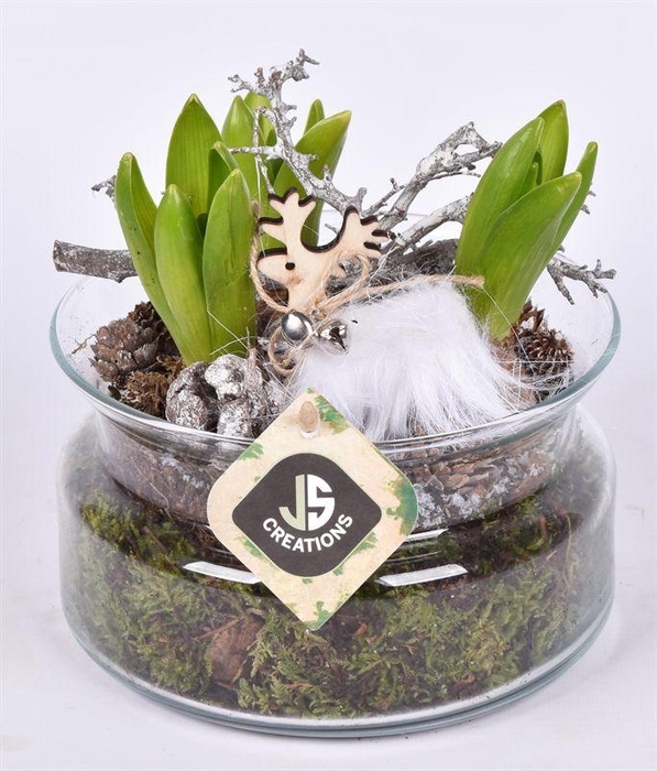 <h4>Glas schaal met hals 17 cm</h4>