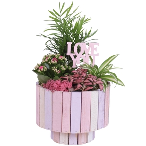 Mothersday Arr. Indoor Wooden Pot on Stand Pastel Pink Ø22cm 4PP