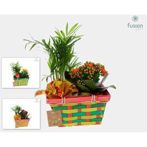 Pasen Rieten mand Met arrangement