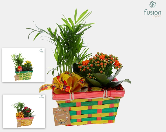 <h4>Pasen Rieten mand Met arrangement</h4>