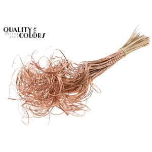 Palm Curly TT 3pc/tuft - 33 tuft/bunch Copper