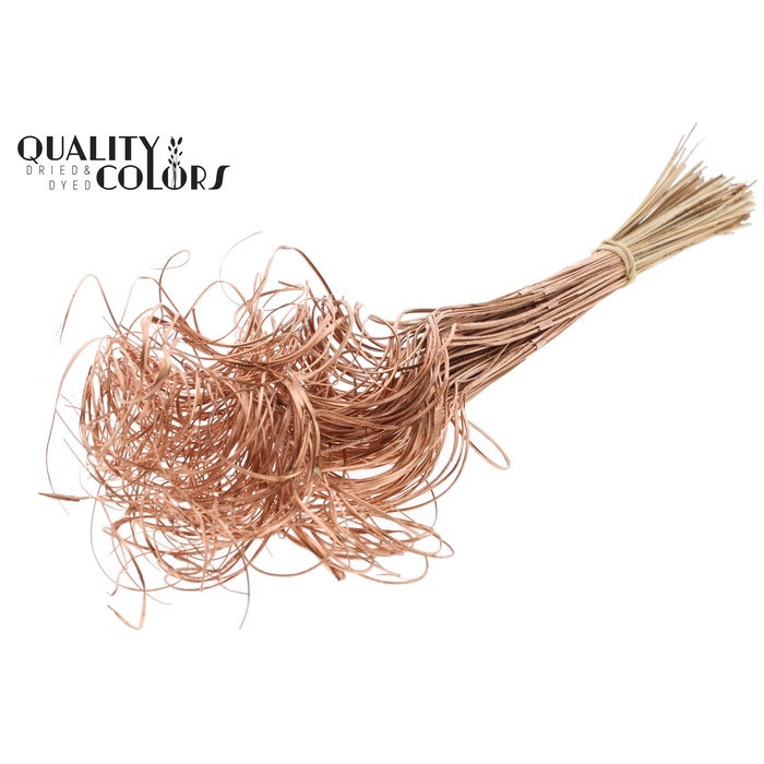 <h4>Palm Curly TT 3pc/tuft - 33 tuft/bunch Copper</h4>
