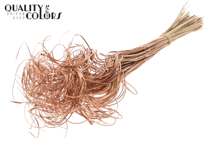 Palm Curly TT 3pc/tuft - 33 tuft/bunch Copper