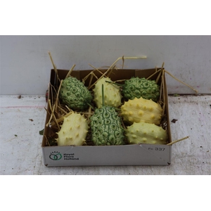 Sier Cucumis Kiwano Green P Box