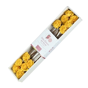 Sola Cabbage Rose 6cm O/s 12pc Pastel Yellow