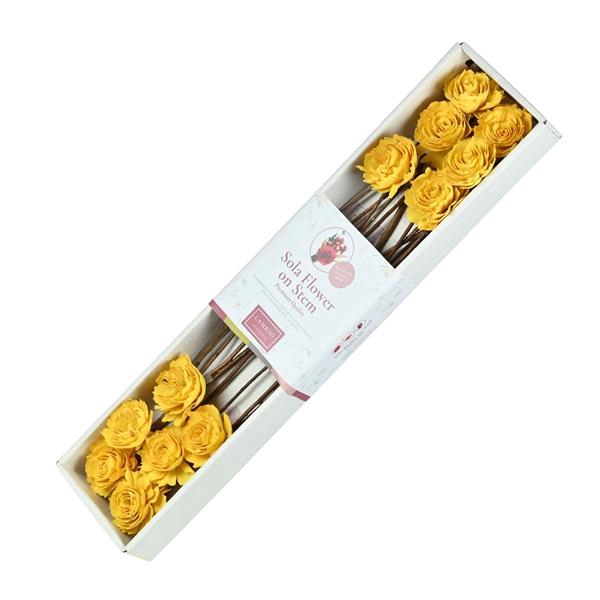 <h4>Sola Cabbage Rose 6cm O/s 12pc Pastel Yellow</h4>