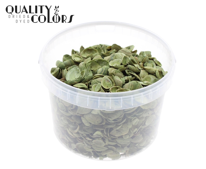 Shells north sea 3 ltr Light Green