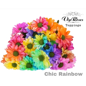 CHR T CHIC RAINBOW