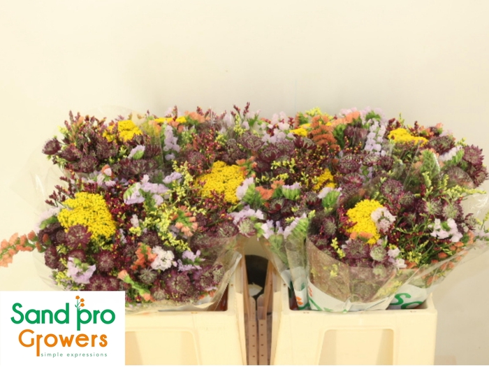 <h4>GEM ZOMERBOEKET</h4>