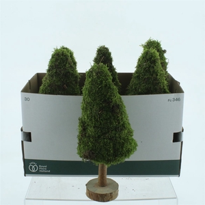 Moss Tree Round 40cm