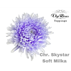 CHR G SKYSTAR SOFT MILKA