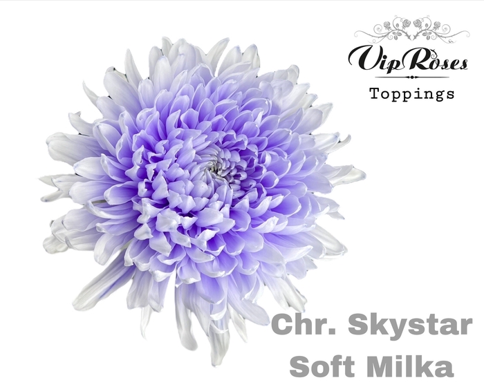 CHR G SKYSTAR SOFT MILKA