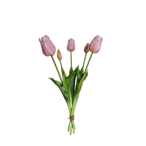 AF Tulip bundle x5 L45cm  pink