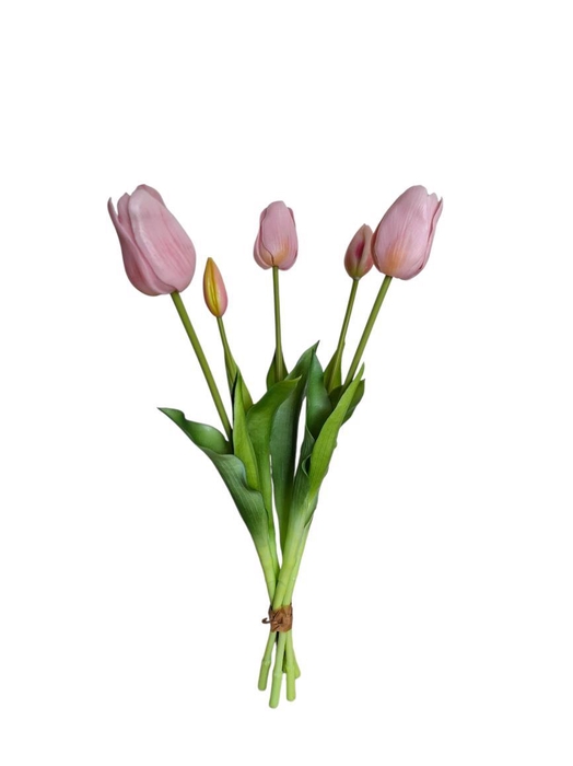 AF Tulip bundle x5 L45cm  pink