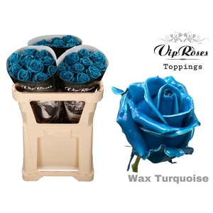 R GR WAX TURQUOISE x30