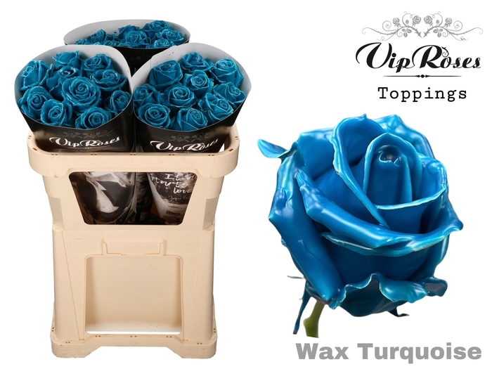 <h4>R Gr Vip Wax Turquoise X30</h4>