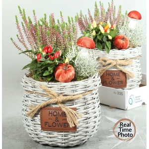 ARR TUINPLANTEN