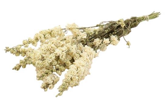 Bunch Delphinium Slv 100g L60