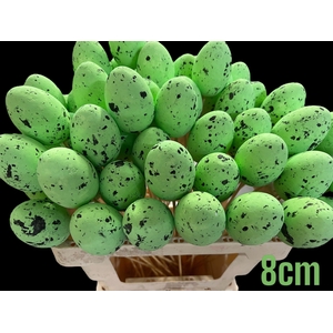 KIEVITSEI OP STOK H% GROEN