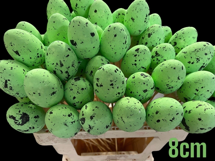 <h4>KIEVITSEI OP STOK H% GROEN</h4>