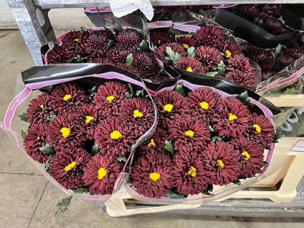 <h4>CHR G POKER</h4>