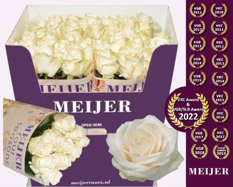 <h4>Rozen Rosa Four Seasons</h4>