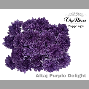 CHR T ALTAJ PURPLE DELIGHT