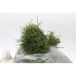 Heidelbeer Vaccinium In Zak