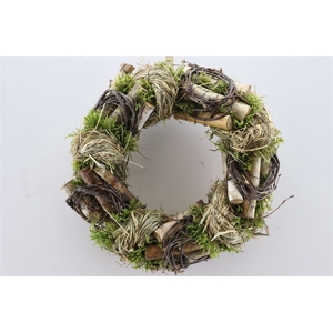 Wr Easter Hooi Birch 30cm