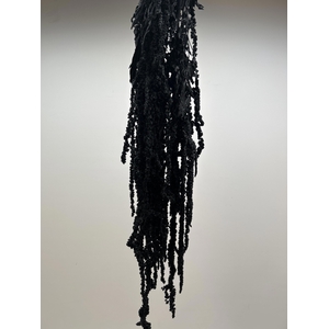 GESTABILISEERD AMARANTHUS (H) ZWART