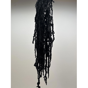 GESTABILISEERD AMARANTHUS (H) ZWART