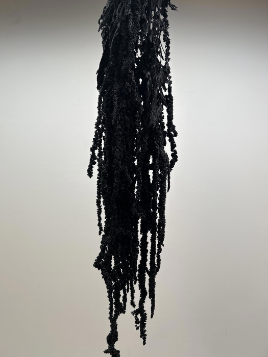 <h4>GESTABILISEERD AMARANTHUS (H) ZWART</h4>