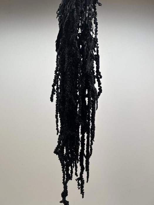 <h4>GESTABILISEERD AMARANTHUS (H) ZWART</h4>