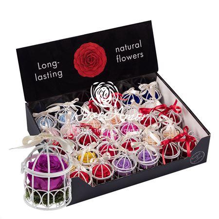 <h4>Display Birdie Assorted</h4>
