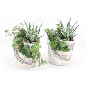 arr3 SN - Tower garden x8
