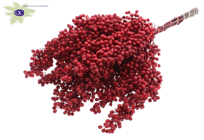 <h4>Pepperberries per bunch in poly red</h4>