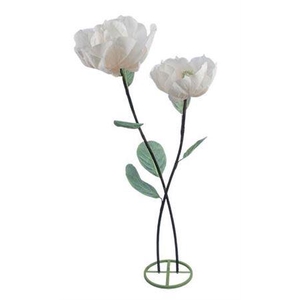 Stem Magnolia Double Stem L50w50h160