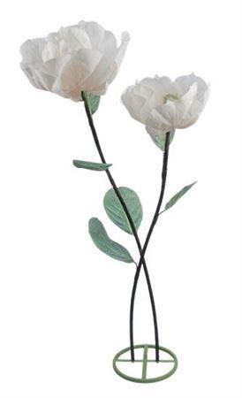 <h4>Stem Magnolia Double Stem L50w50h160</h4>