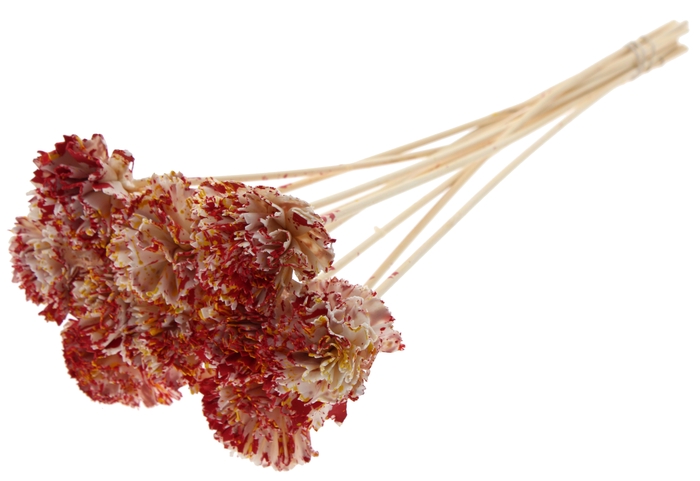 Shola Karnish Flower 6cm on stem Multicolour Red/Yellow