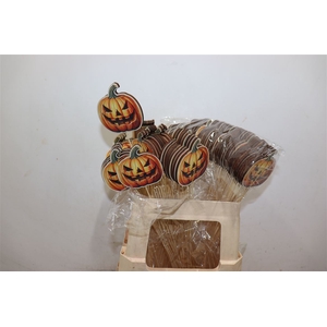 Pumpkin Halloween Op Stok D7cm