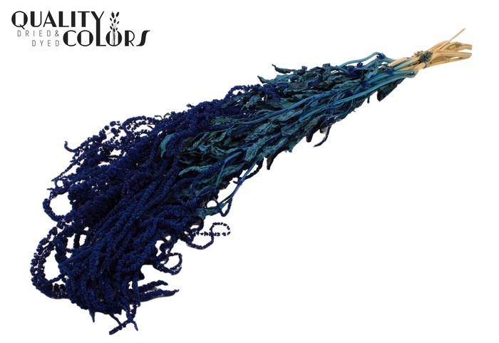 <h4>Hang Amaranthus ±70cm p/bunch Dark Blue</h4>